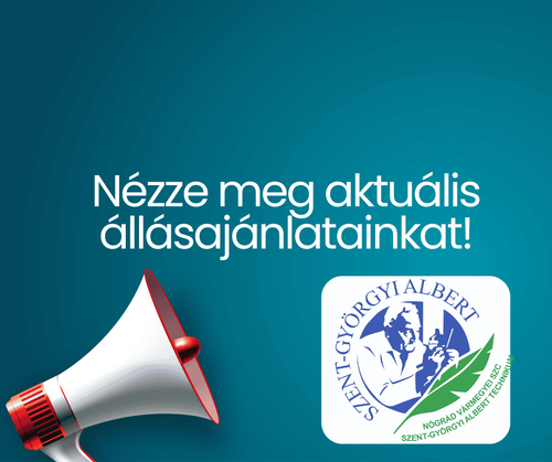 Álláshirdetések